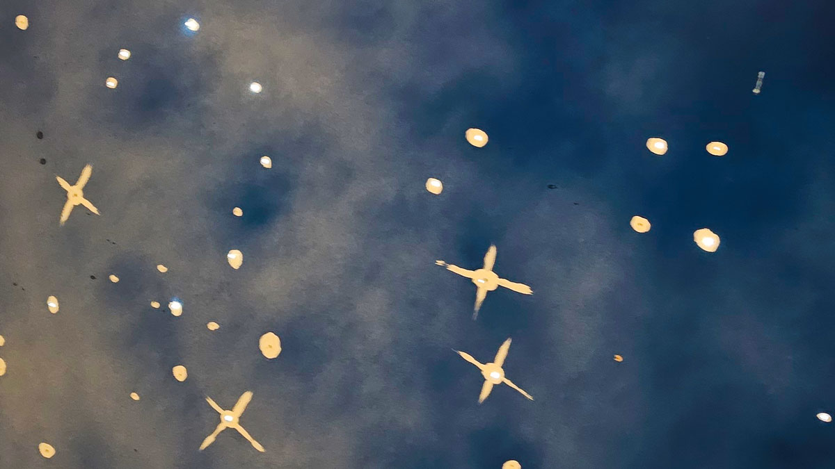 Sonnengarten 151055 16q